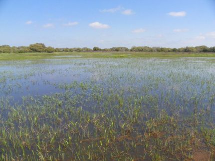 Farm and Ranch in Colorado County, Texas