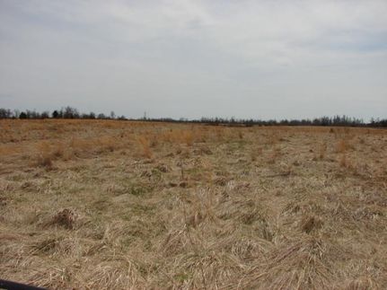 Farm and Ranch in Graves County, Kentucky