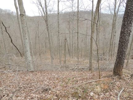 Farm and Ranch in Lawrence County, Ohio