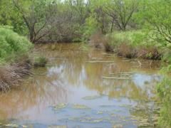 Land in Haskell County, Texas