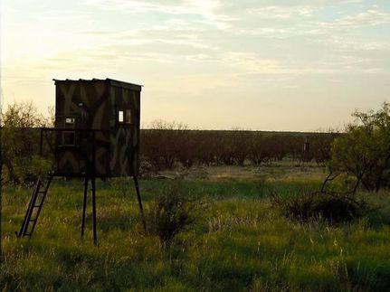 Land in Concho County, Texas