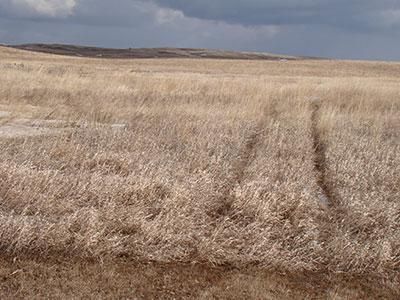Land in Sheridan County, North Dakota