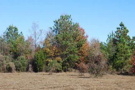 Farm and Ranch in Spartanburg County, South Carolina