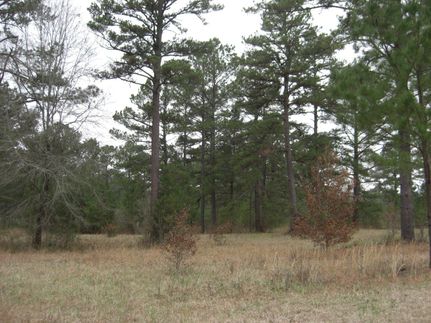 Farm and Ranch in Madison County, Mississippi