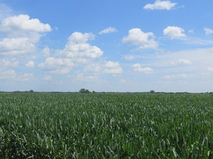 Farm and Ranch in Davis County, Iowa