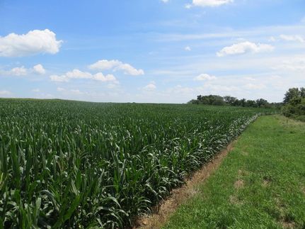 Farm and Ranch in Davis County, Iowa