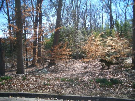 Recreational Property in Newport News City County, Virginia