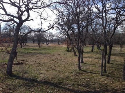 Farm and Ranch in Parker County, Texas