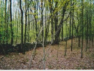 Farm and Ranch in Oneida County, New York