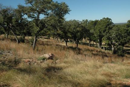 Farm and Ranch in Llano County, Texas