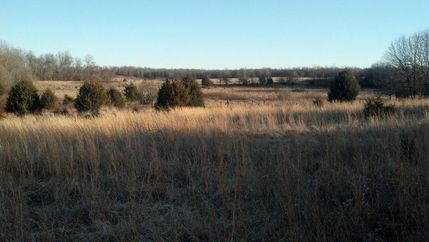 Farm and Ranch in Howell County, Missouri