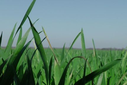Farm and Ranch in McLennan County, Texas