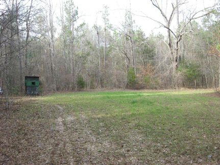 Farm and Ranch in Rankin County, Mississippi
