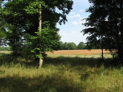 Timberland Property in Monroe County, Alabama