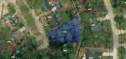 Timberland Property in Montgomery County, Texas