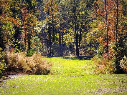 Farm and Ranch in Jenkins County, Georgia