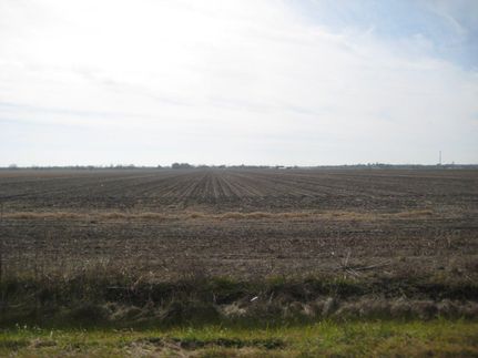 Farm and Ranch in Brazoria County, Texas