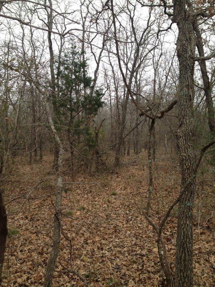 Farm and Ranch in Milam County, Texas