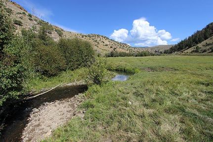 Farm and Ranch in Grand County, Colorado