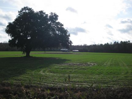 House in Lenoir County, North Carolina