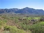 Farm and Ranch in Mohave County, Arizona