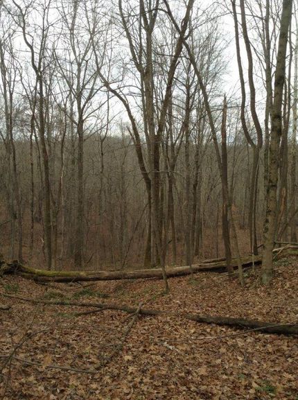 Land in Athens County, Ohio