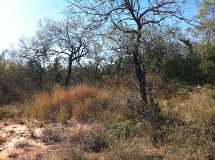 Farm and Ranch in Duval County, Texas