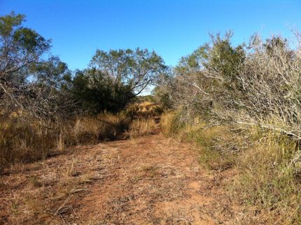 Land in Duval County, Texas