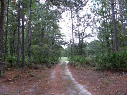 Land in Wayne County, Georgia