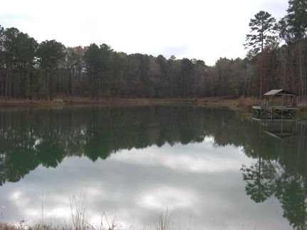 Farm and Ranch in Holmes County, Mississippi