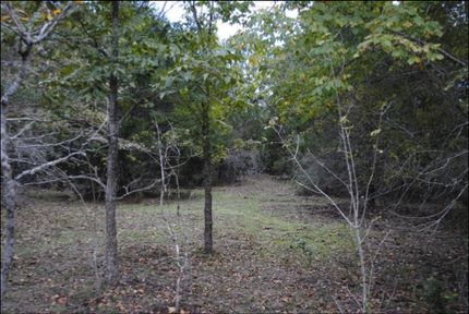 Farm and Ranch in Milam County, Texas