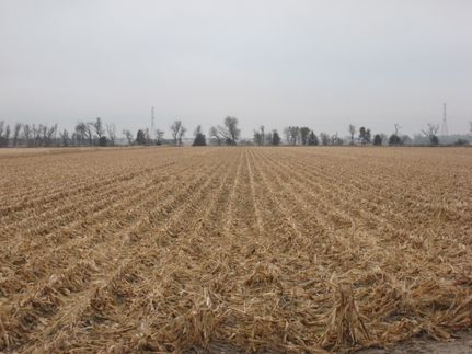 Farm and Ranch in Kearney County, Nebraska