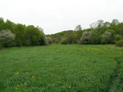 Land in Cayuga County, New York
