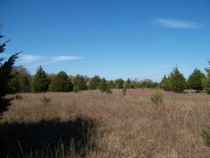 Farm and Ranch in Collin County, Texas