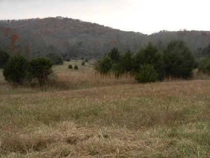 Farm and Ranch in Ozark County, Missouri