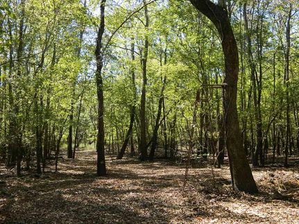 Land in Red River County, Texas