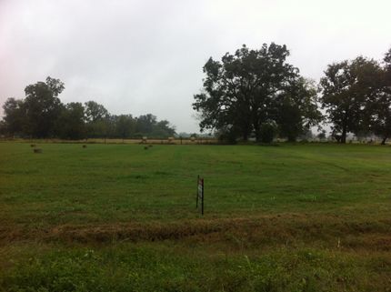 Farm and Ranch in Wharton County, Texas