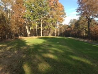Farm and Ranch in Saint Clair County, Alabama