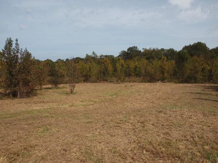 Land in Hinds County, Mississippi