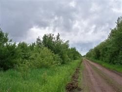 Land in Koochiching County, Minnesota