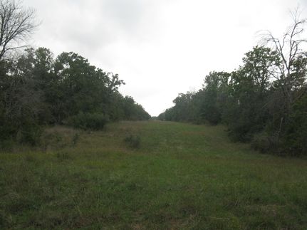 Farm and Ranch in Milam County, Texas
