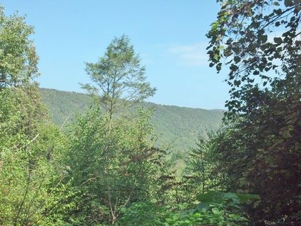 Farm and Ranch in Mifflin County, Pennsylvania