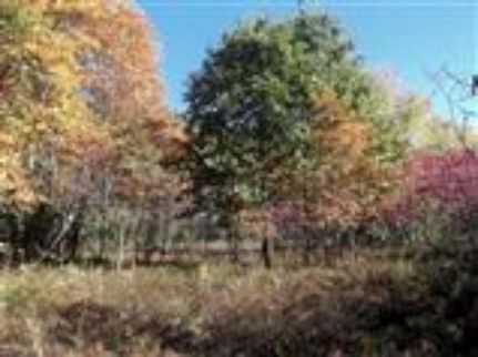 Farm and Ranch in Newaygo County, Michigan