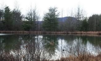 Land in Floyd County, Virginia