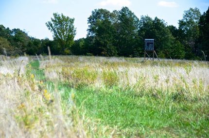 Farm and Ranch in Monroe County, Missouri