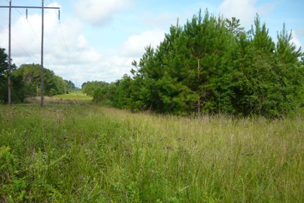 Farm and Ranch in Geneva County, Alabama
