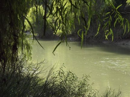 Riverfront Property in Wilson County, Texas