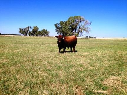 Land in Woodward County, Oklahoma