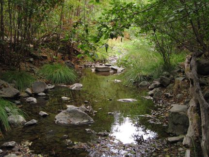 Land in Mendocino County, California
