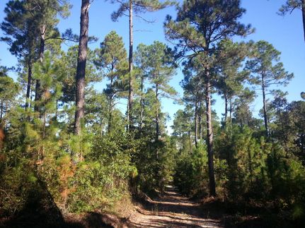 Farm and Ranch in Lexington County, South Carolina